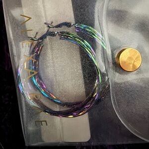 BAR by Alexa Rae Mystic Serene Hoop Earrings NEW